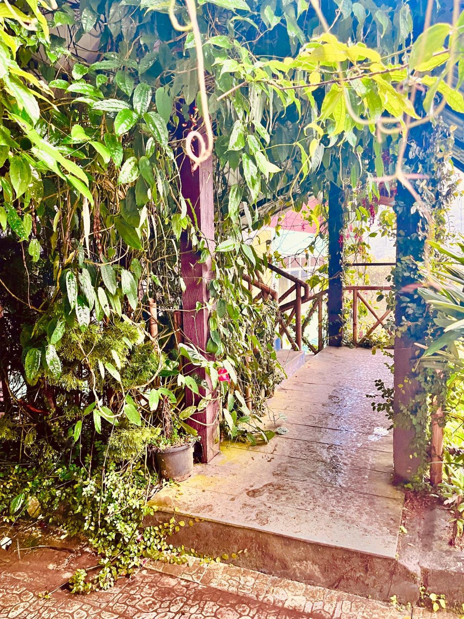 Munnar Tea Estate Cottage And Resort - Away From City Hustle Luaran gambar